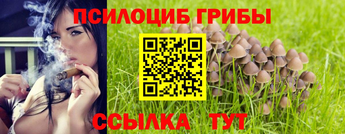 Тихорецк  Галлюциногенные грибы Magic Shrooms  Вход с VPN 
