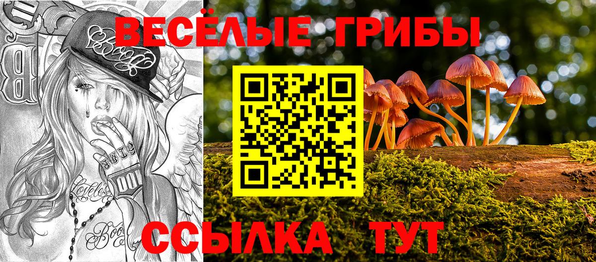 Псилоцибиновые грибы мицелий Тихорецк